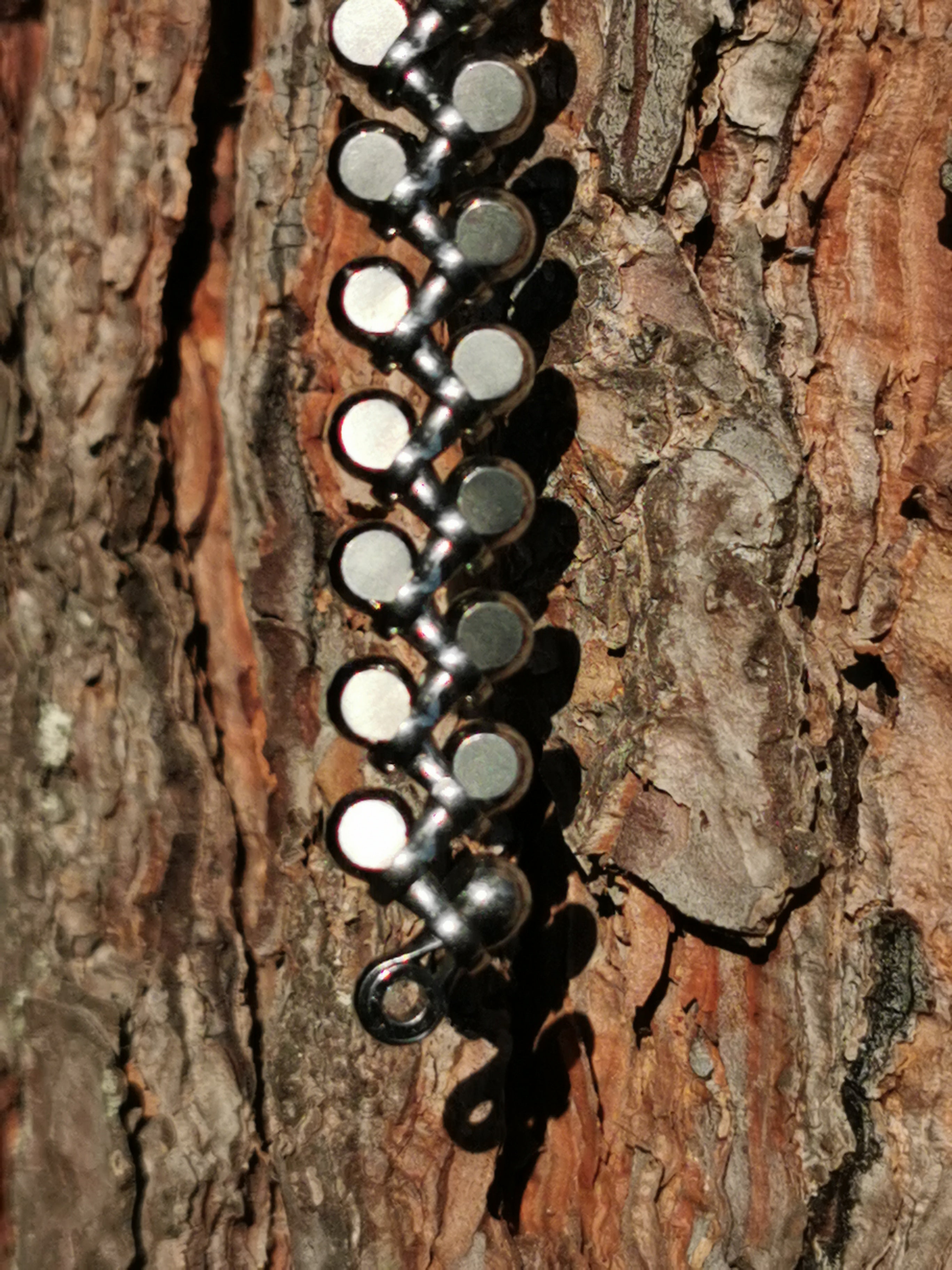 Titanium curb link bracelet